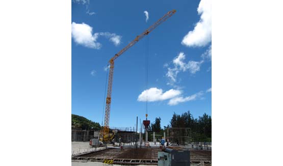 Self Erected Tower Crane