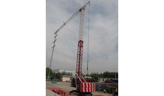 Self Erected Tower Crane