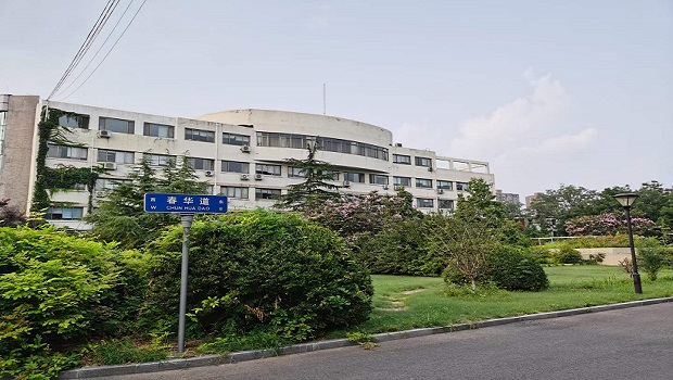 Full of spring and vitality in our company's yard! Full of spring and vitality in our company's yard!