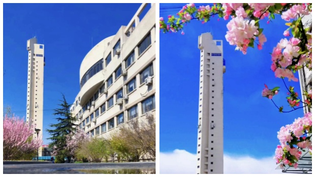 Welcome to our company to have a date with spring!